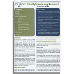 Genealogy at a Glance: FamilySearch.org Research